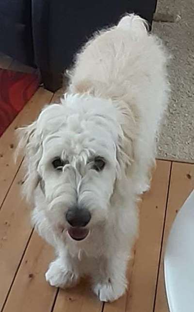 Doppelgänger gesucht !-Beitrag-Bild