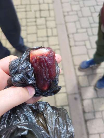 Giftköder-Giftköder, Knochen-Bild