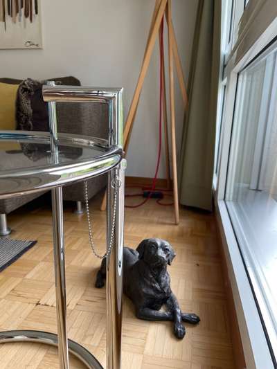 Urne von verstorbenen Haustieren !-Beitrag-Bild