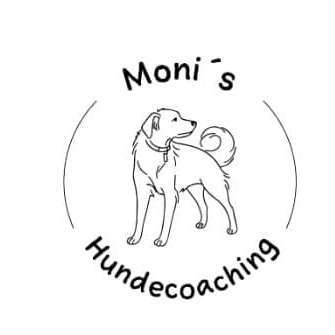 Hundeschulen-Moni's Hundecoaching-Bild