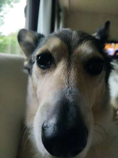 Fotochallange 84-Beitrag-Bild