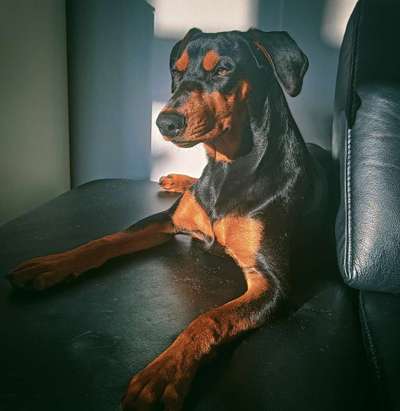 Zeigt eure Portraits-Beitrag-Bild