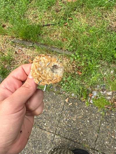 Giftköder-Bulette mit Nägeln-Bild