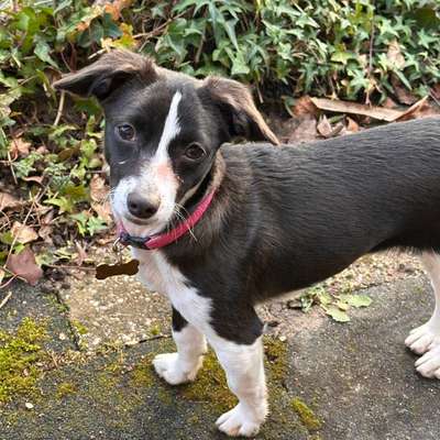 Trainingsmotivation-Beitrag-Bild