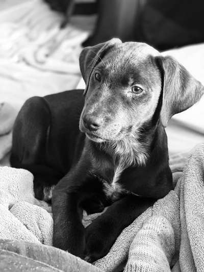 Foto-Challenge 76: Foto in Schwarz-Weiss-Beitrag-Bild