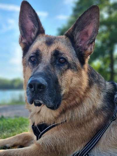 Zeigt eure Portraits-Beitrag-Bild