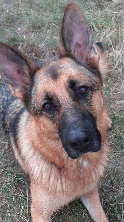 Fotochallange Nr. 57     PORTRÄT.   Beendet!!!!!!!!-Beitrag-Bild