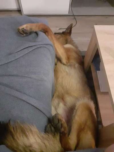 Die unbequemsten und lustigsten Schlafpositionen-Beitrag-Bild