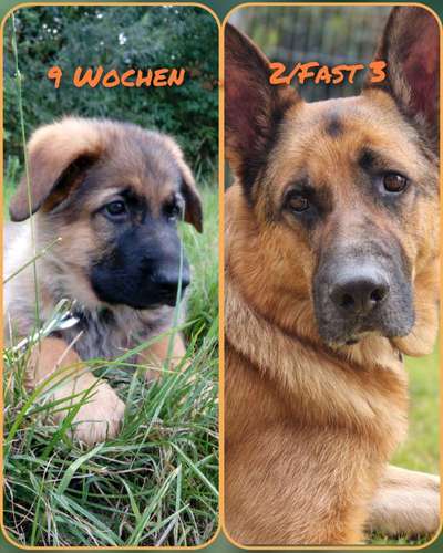 Sie werden so schnell groß!-Beitrag-Bild