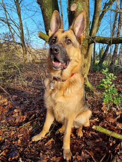 Lieblings Fotos-Beitrag-Bild