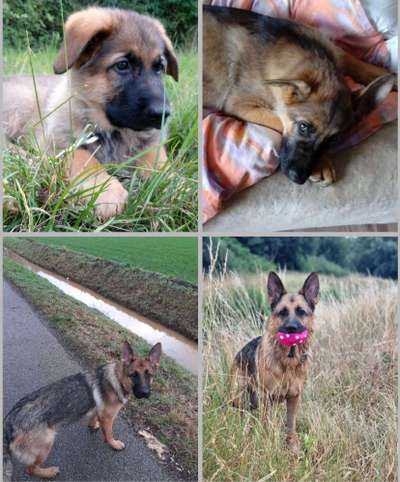 Sie werden so schnell groß!-Beitrag-Bild