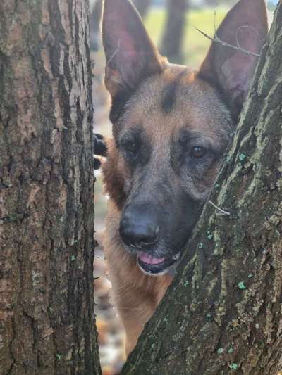 Foto Challenge Nr. 79-Beitrag-Bild