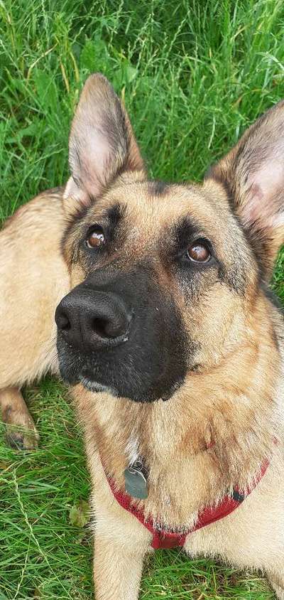 Lieblingsbild-Beitrag-Bild