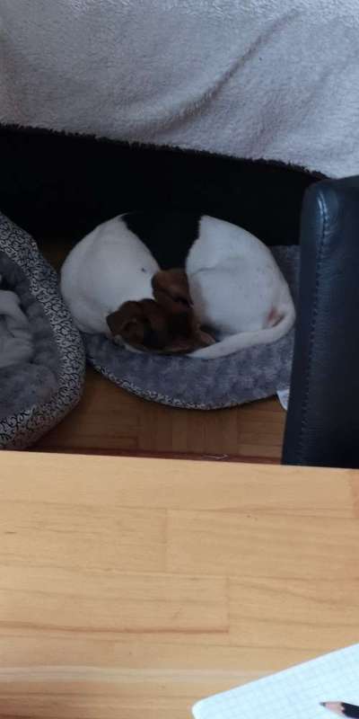 Die unbequemsten und lustigsten Schlafpositionen-Beitrag-Bild