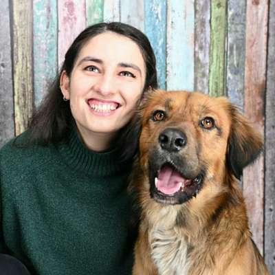 Hundetreffen-Gemeinsame Gassirunden-Bild