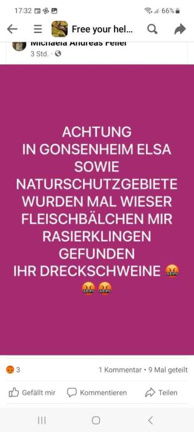 Giftköder-Giftköder mit Rasierklinge-Bild