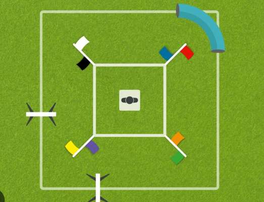 Curving Hundesport-Beitrag-Bild