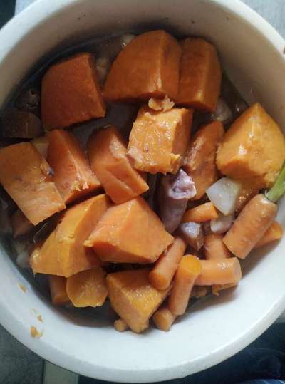 Zeigt her Eure Futternäpfe-Beitrag-Bild