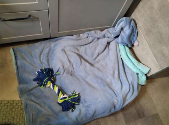 Platz aussuchen lassen.-Beitrag-Bild