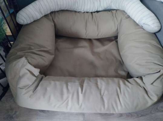 Platz aussuchen lassen.-Beitrag-Bild