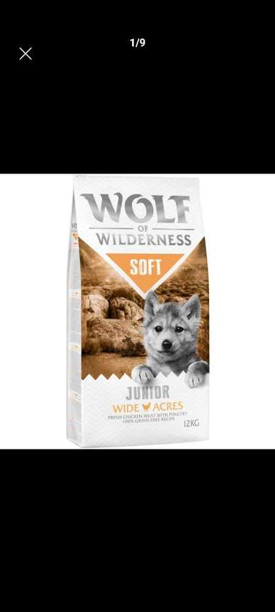 Ist mein Hundefutter gut?-Beitrag-Bild