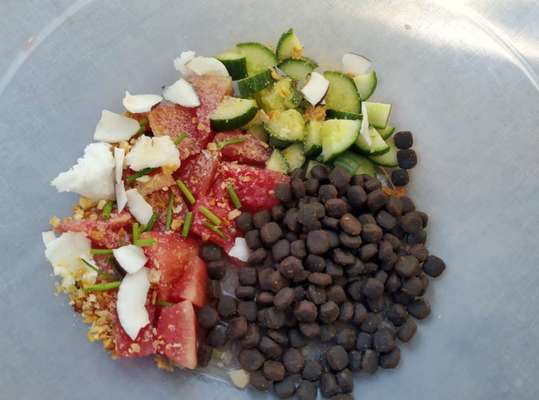 Zeigt her Eure Futternäpfe-Beitrag-Bild