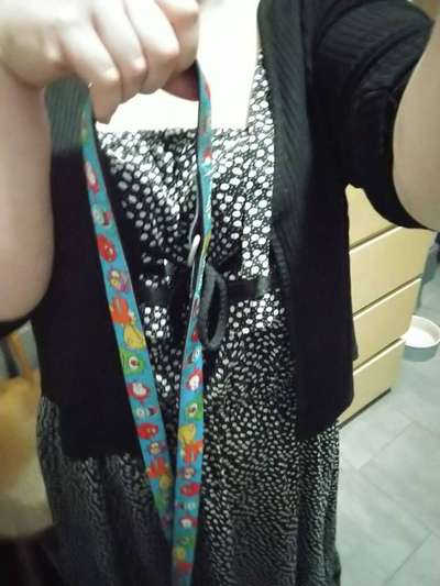 Besitzer*innen mit special effects-Beitrag-Bild