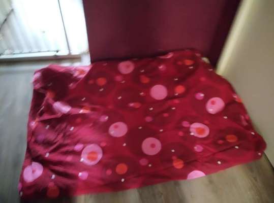 Platz aussuchen lassen.-Beitrag-Bild