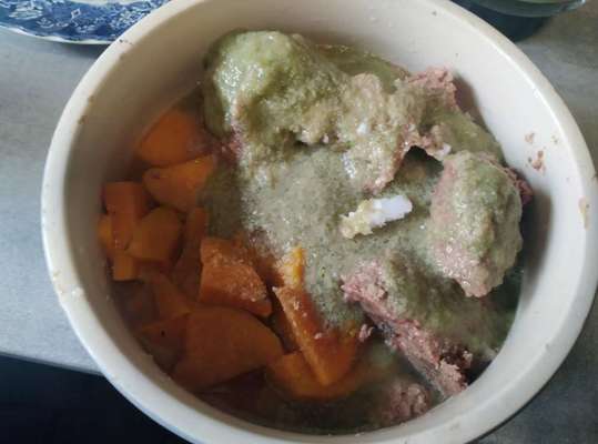 Zeigt her Eure Futternäpfe-Beitrag-Bild