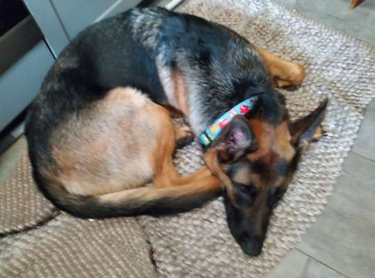 Das Gefühl das es nicht passt...-Beitrag-Bild