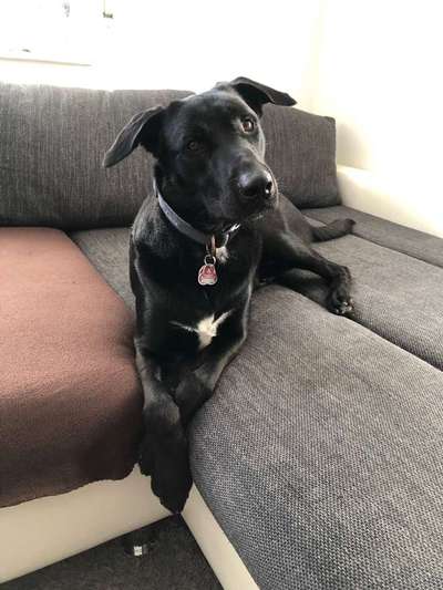 Vorher.... Nachher-Beitrag-Bild