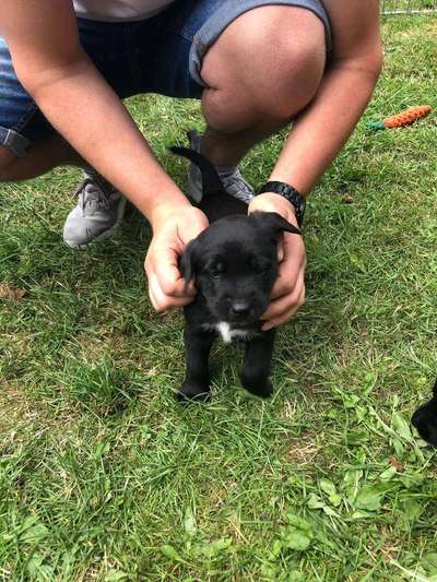 Vorher.... Nachher-Beitrag-Bild