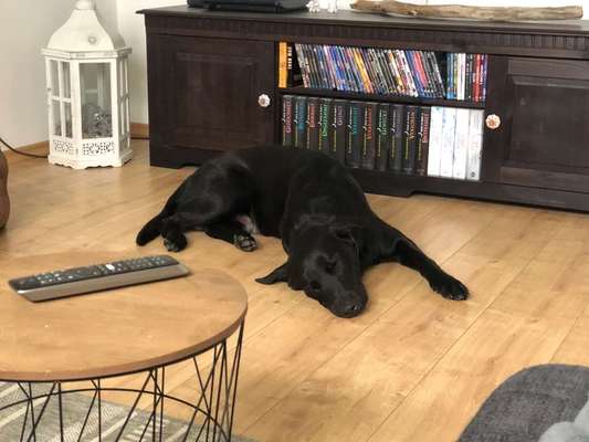 Die unbequemsten und lustigsten Schlafpositionen-Beitrag-Bild