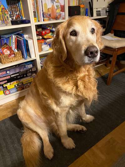 Alterswarzen-Beitrag-Bild