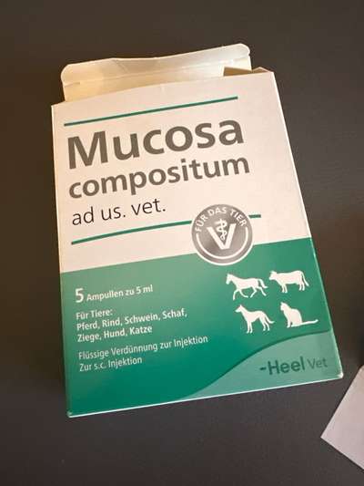 Hund tropft aus dem Maul wie ein Wasserhahn-Beitrag-Bild