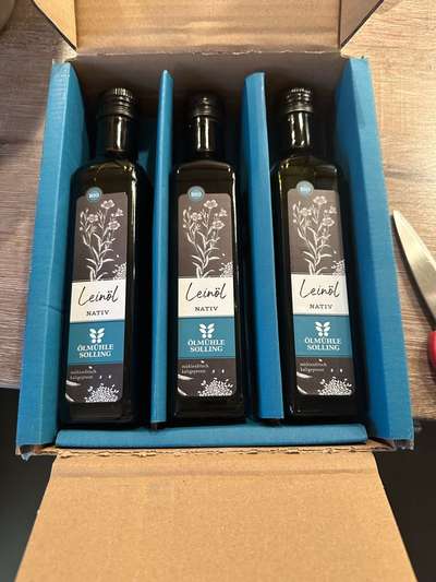 Französische Bulldoggen-Beitrag-Bild