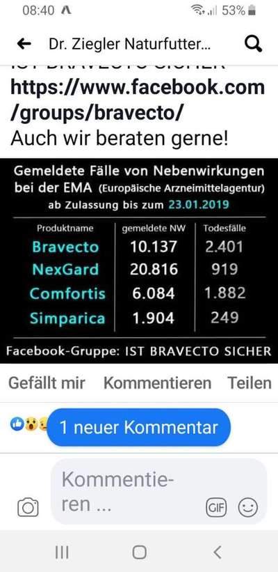 Bravecto-Beitrag-Bild