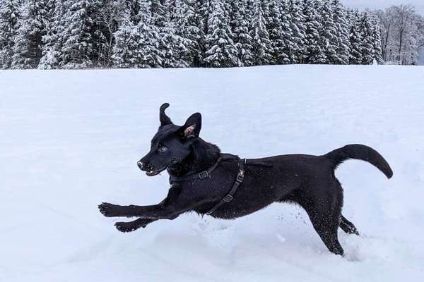 Challenge Nr. 15
Spiel im Schnee-Beitrag-Bild