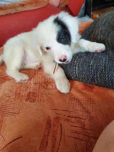 Foto Challenge 3-Beitrag-Bild