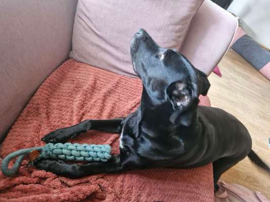 aktuelles Foto Gruppe Fellnase aus Wuppertal