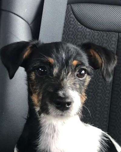 Fotochallange Nr. 57     PORTRÄT.   Beendet!!!!!!!!-Beitrag-Bild