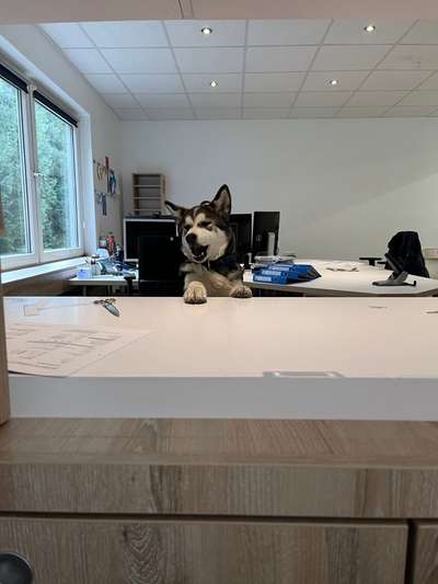 Zeigt her...-Beitrag-Bild