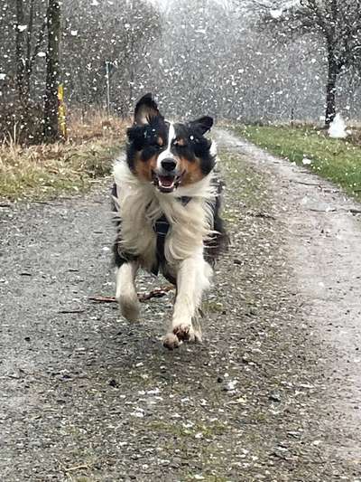 Der erste Schnee, zeigt uns eure tollen Schneemomente-Beitrag-Bild