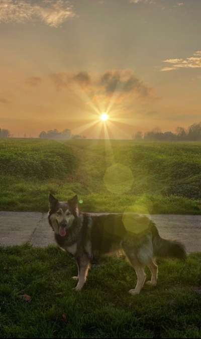 Farben Fotochallenge Sonnenlicht-Beitrag-Bild