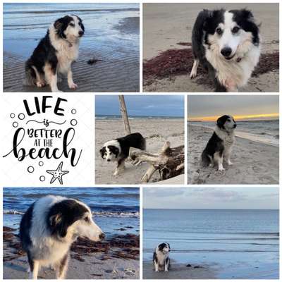 37. Collagen Challenge- Am Strand-Beitrag-Bild