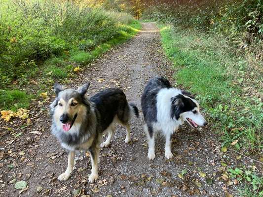 Gleichgültigkeit-Beitrag-Bild