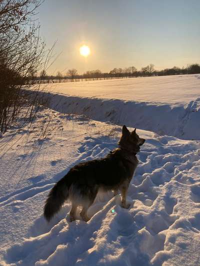 14. Farbenfoto-Challenge "Weiss"-Beitrag-Bild