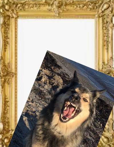 Foto Challenge Nr. 136-Beitrag-Bild