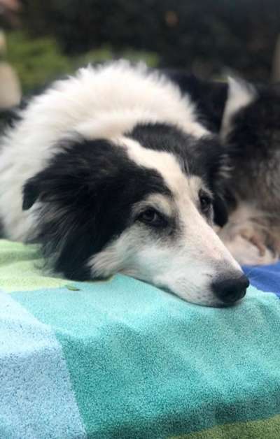 23. Farben / Fotochallenge - Türkis --Beitrag-Bild