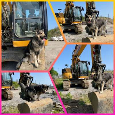 56. Handy Foto Challenge - Grosse Maschinen-Beitrag-Bild